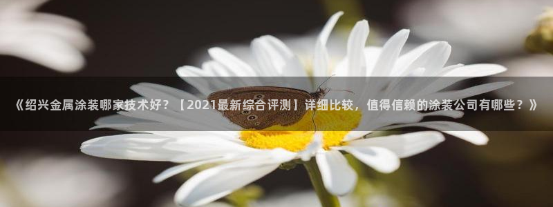 美高梅行政泳池