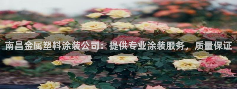 美高梅金卡匹配