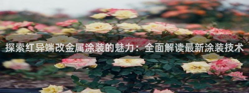 鲁能钓鱼台美高梅别墅