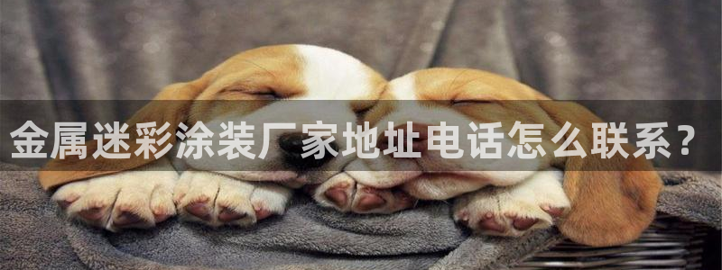 美高梅是哪里的品牌