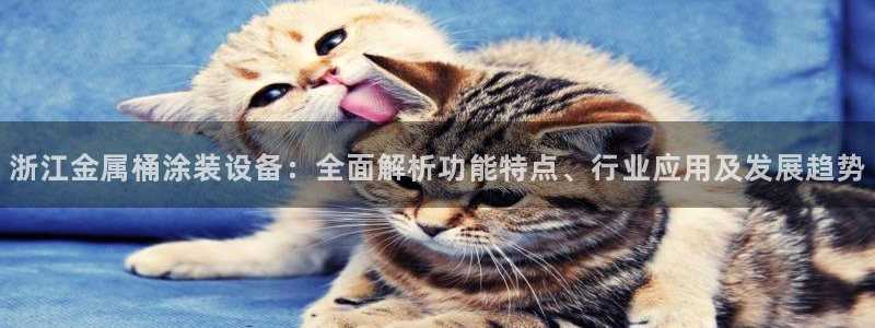 美高梅是做什么的宁波