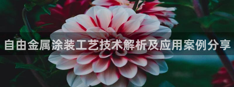 美高梅酒店年卡多少钱