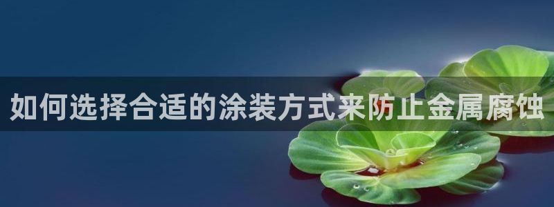 美高梅酒店免费的东西