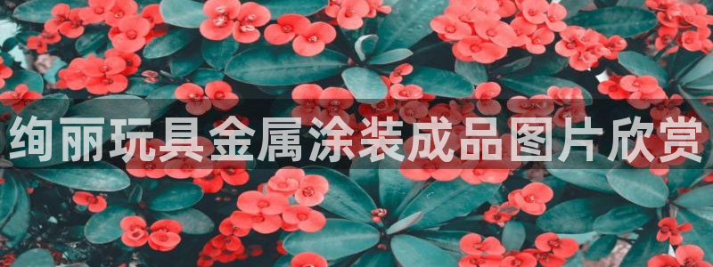 美高梅中国是什么公司