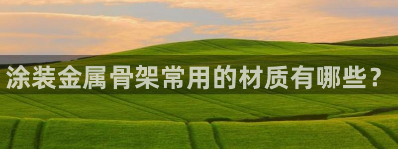 美高梅官网购票能用微信买吗