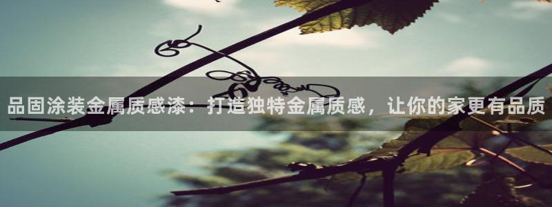 美高梅狮王卡是什么
