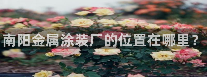 美高梅会员卡要输多少