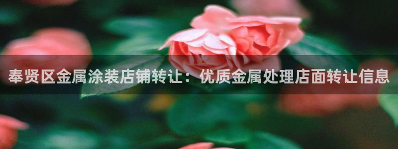 美狮美高梅酒店外观图片