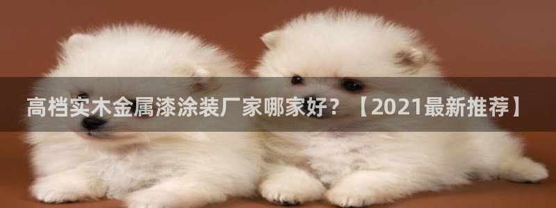 美高梅现在由谁在经营