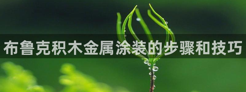 美高梅酒店老板