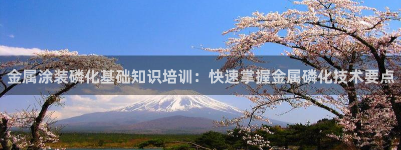 鲁能钓鱼台美高梅别墅