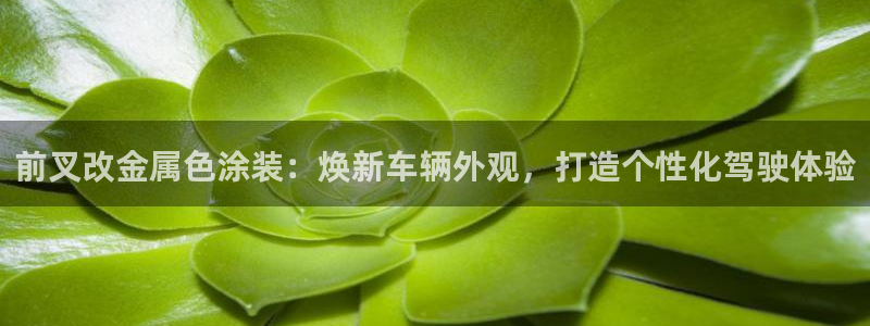 美高梅游戏推荐