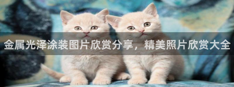 美高梅酒店百度百科