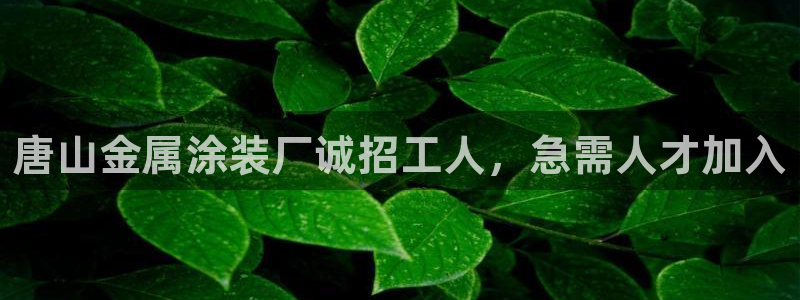 美高梅酒店创始人