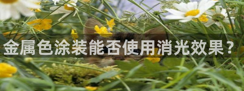 美高梅黑卡最低多少积分