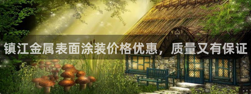 美高梅空气炸锅怎么样好用吗