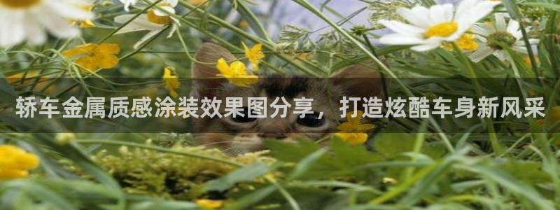 美高梅游戏官网app可以玩吗安卓