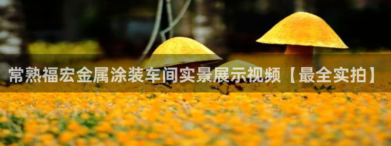 美狮美高梅酒店雍华府