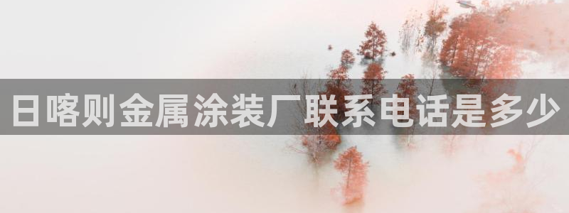 美高梅中国控股有限公司 介绍