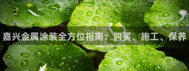 美高梅是哪个集团旗下的
