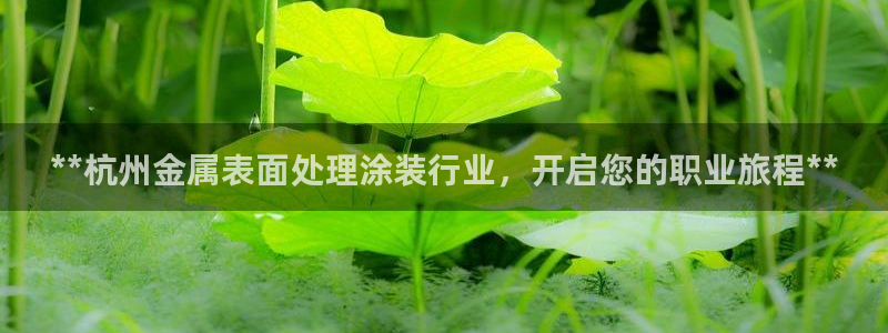 美狮美高梅酒店积分