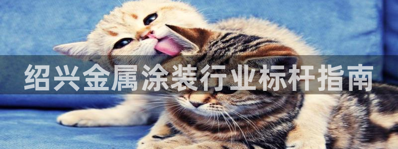 美高梅会员卡好用不