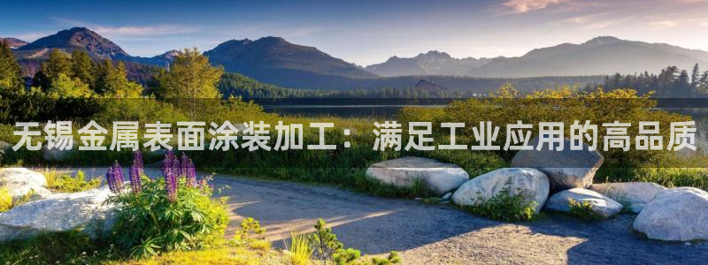 美高梅的狮子是纯金的吗