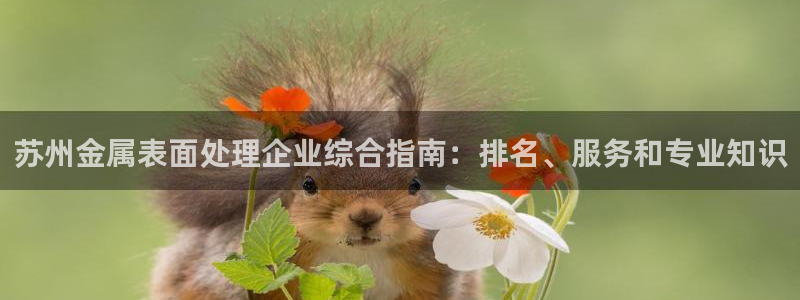 美国美高梅创始人