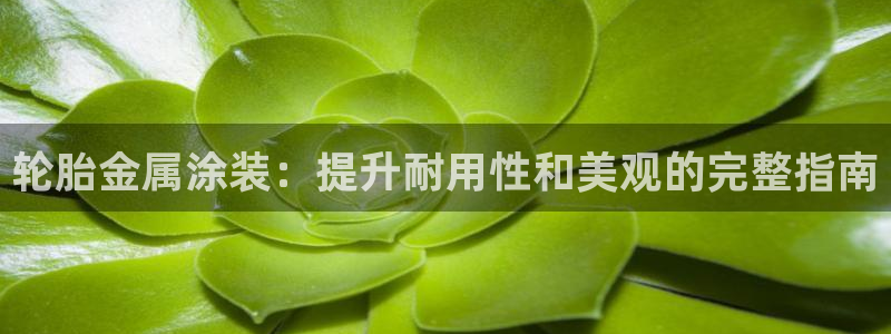 美高梅空中海洋秀时间