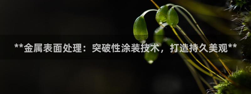 美高梅现金券怎么使用