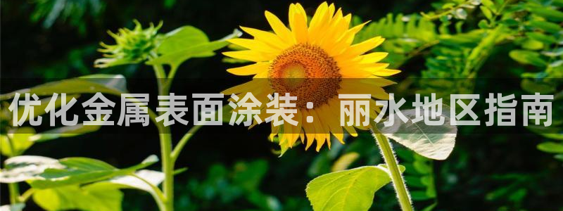 美高梅酒店集团简介