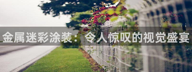 美高梅别墅房价