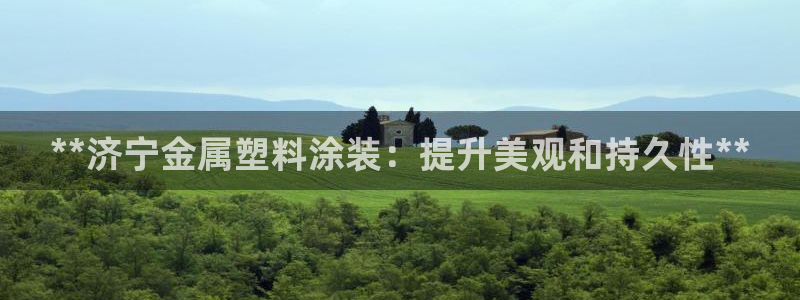 美高梅何超琼多少股份