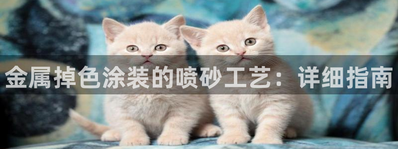 美高梅VIP等级