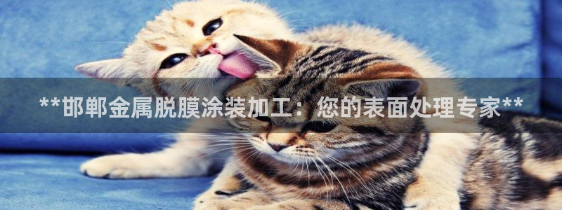 美高梅的狮子值多少钱