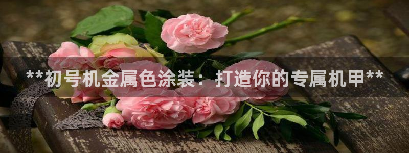 美高梅空气炸锅怎么样