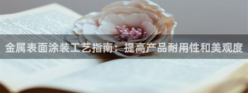 为什么我的美高梅网页上不了