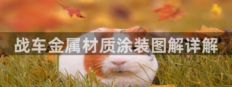 美高梅酒店金卡