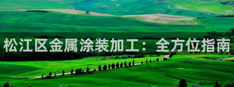 美高梅国际酒店集团位于美国哪个城市