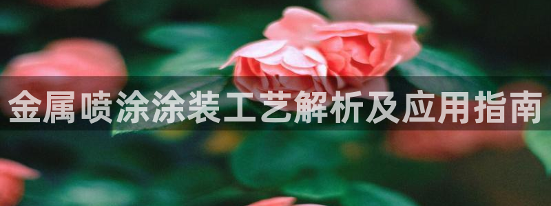 美高梅和永利是一家吗