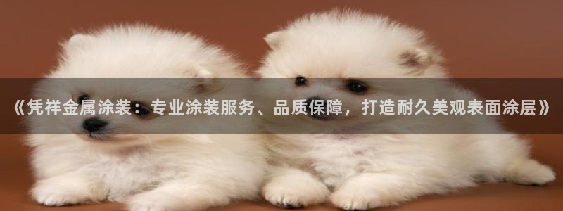 美高梅怎么打不开了