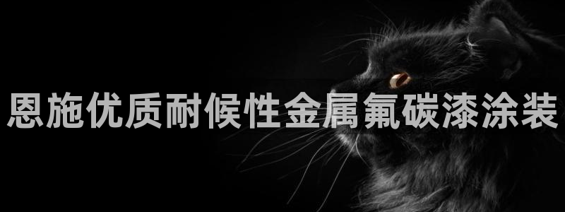 美高梅信德