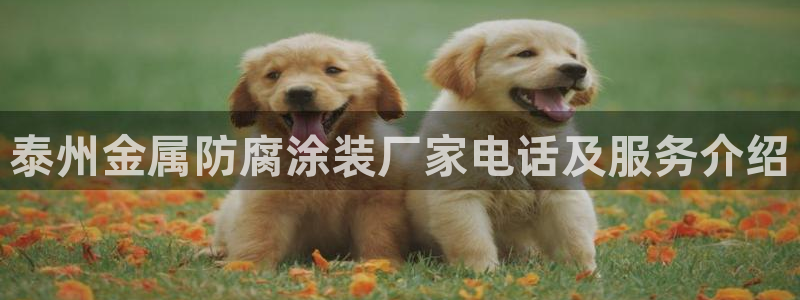 美高梅酒店澳门价格