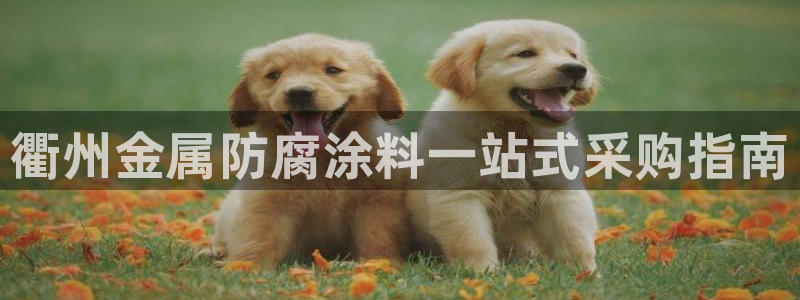 中国美高梅酒店有几家