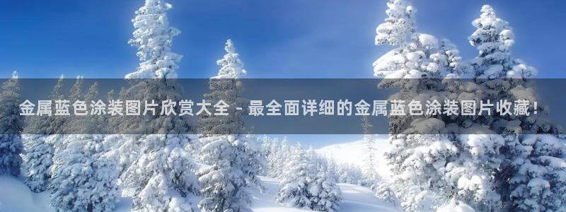 美高梅金卡匹配