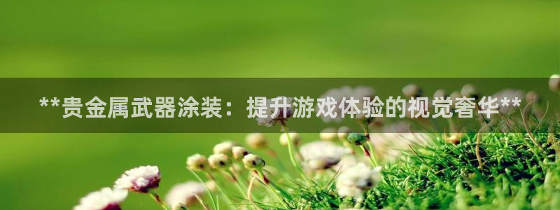 美狮美高梅酒店开业