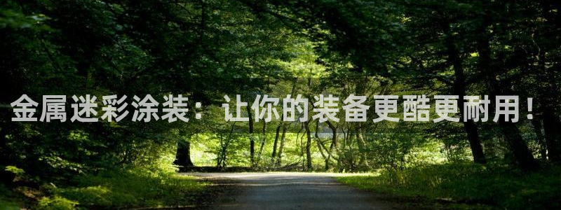 何超琼美高梅国际集团