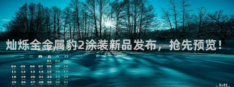 三亚美高梅酒店是哪个集团