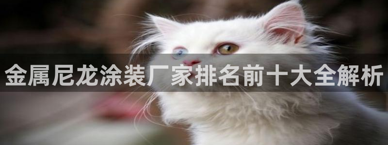 美高梅别墅可以买吗