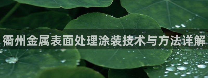 美高梅酒店会员